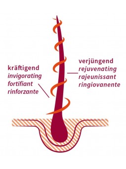 khadi Ayurvedisches Haaröl Strong Amla